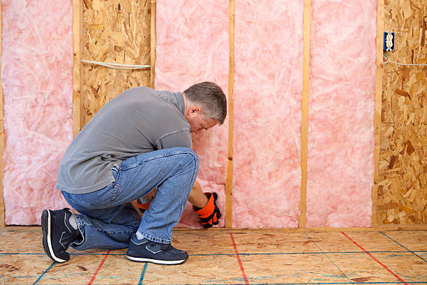 Best Basement Insulation  in Ly Lake, IL